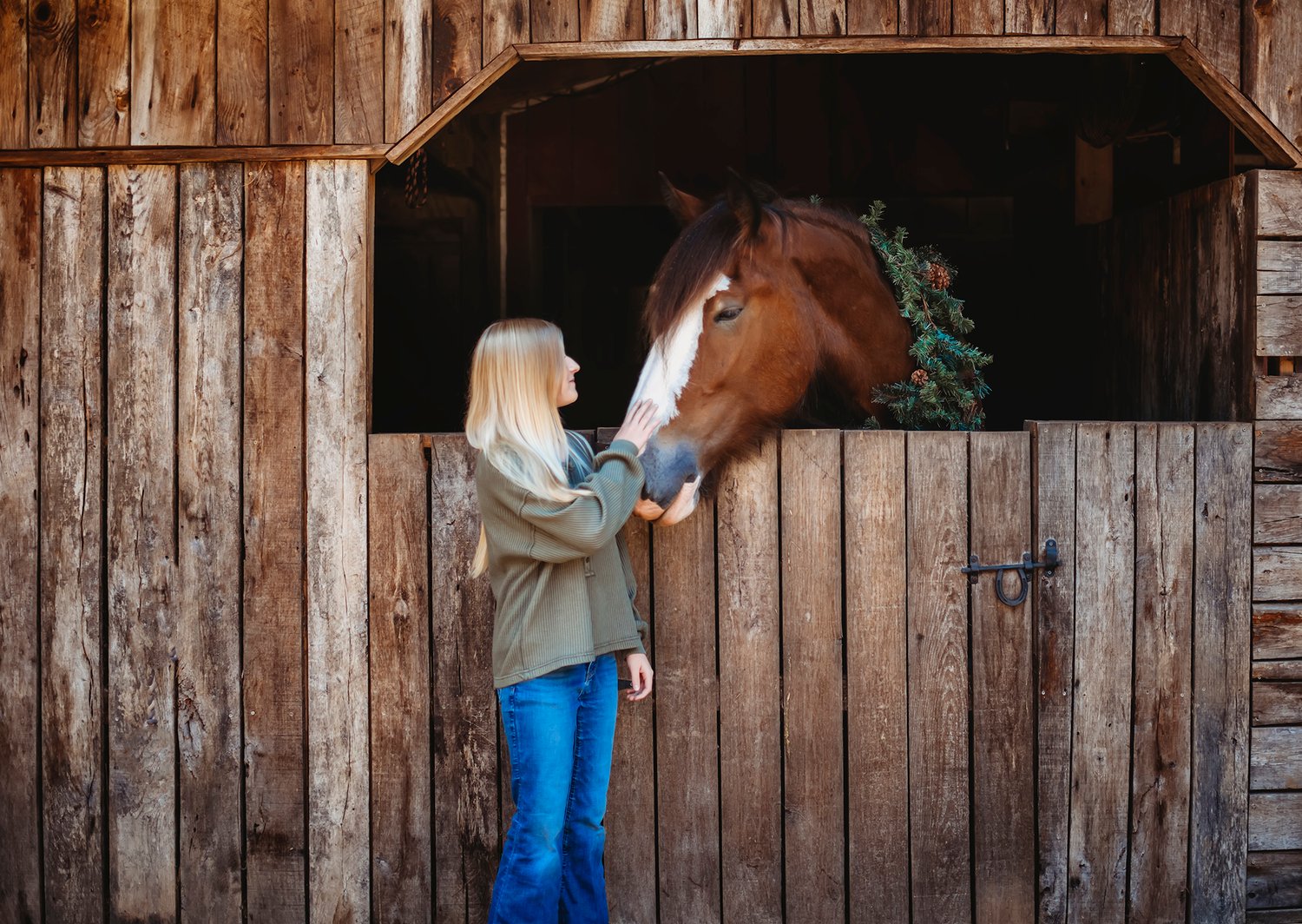 Image of Christmas Photos with a Clydesdale  NON REFUNDABLE  Deposit Only