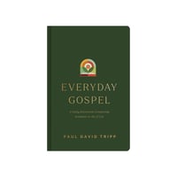 Image 1 of EVERDAY GOSPEL By Paul Tripp