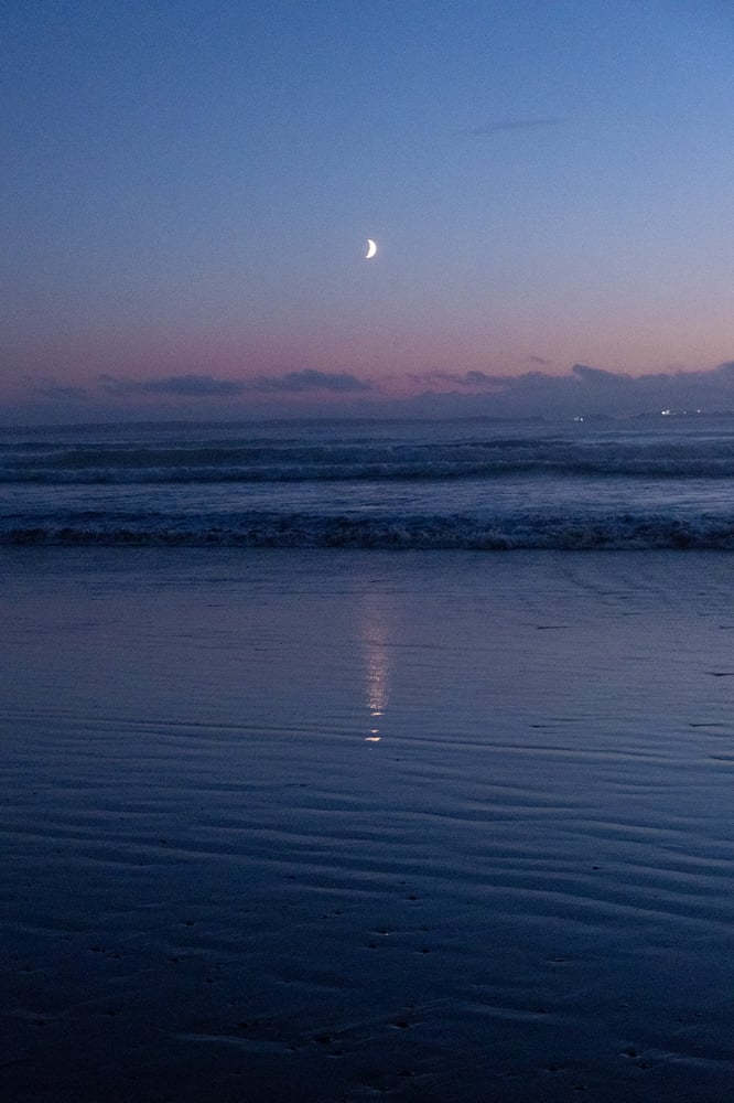 Image of Coastal Moon 🌙