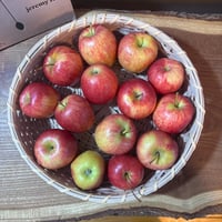 Image 1 of Naturals Medium Bowl/Tray