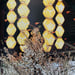 Image of (The Indigenous Patterns and Hotel Okura)
