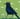 Crow Green