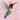 Hello Hummingbird Pink