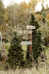 Image 5 of Christmas Minis: GlassHouse/Sleigh/Camper/Trees