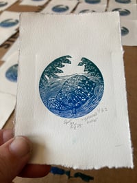 Image 1 of Spotted Turtle - Wood Engraving Print