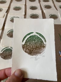 Box Turtle - Wood Engraving Print