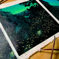 Image 1 of Eastern Red Bat with Fireflies - Wood Engraving Reduction Print