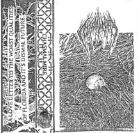EA029: Chasmal Mire- S/T cassette