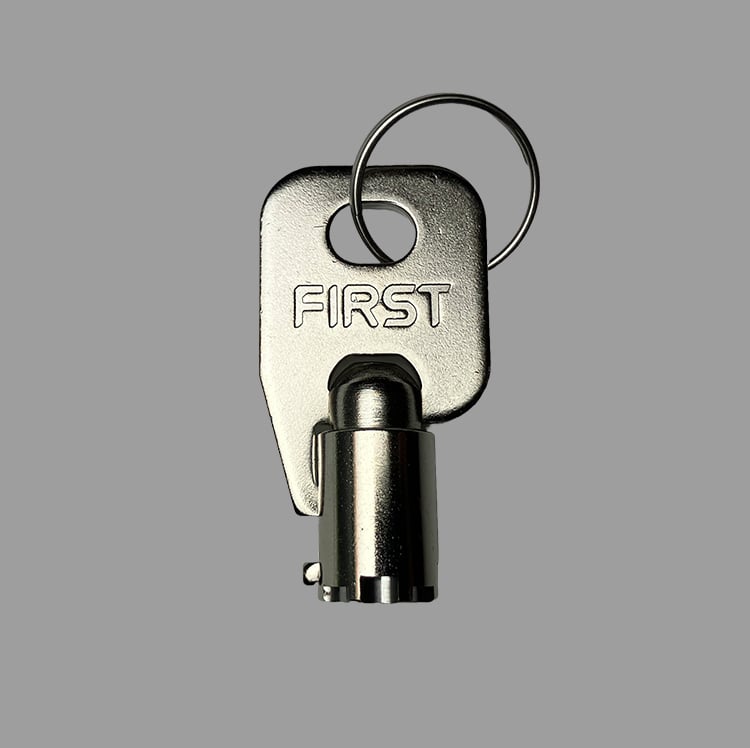 Image of Genuine Taito Egret 2, Egret 3, Vewlix: LY1153 Key