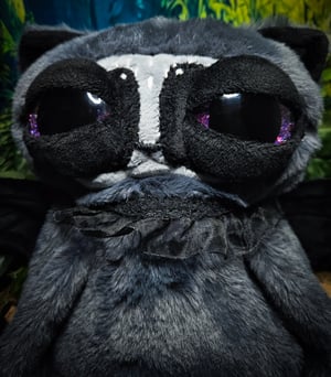 Batcoon!! 