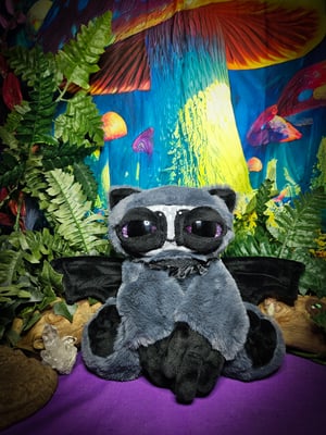 Batcoon!! 