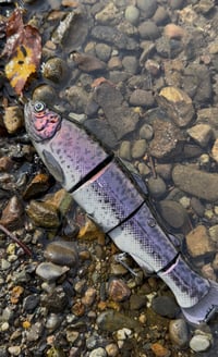 Image 1 of Immortal Trout 7.7 “Hybrid Trout”