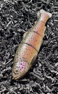 Image 1 of Immortal Trout 7.7 “Halloween Hatchery Trout”