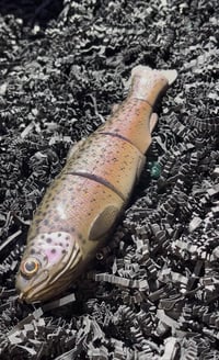 Image 2 of Immortal Trout 7.7 “Halloween Hatchery Trout”