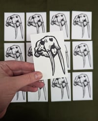 Image 1 of Walrus Skull ~ ACEO 