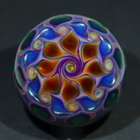 Image 1 of Aurora Twist