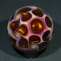Image 7 of Solar Bloom