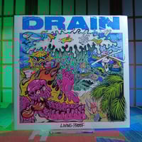 Image 1 of Drain - Living Proof