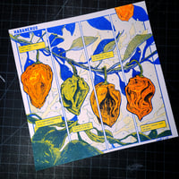 Image 1 of Habaneros Comic