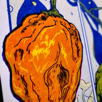 Image 2 of Habaneros Comic
