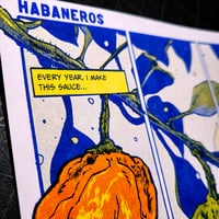 Image 4 of Habaneros Comic