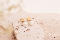 Image 2 of Earrings No.433