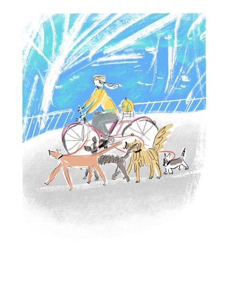 Image of Pups and spokes, Birrell Street, Bondi
