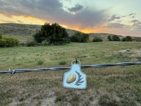 Image 2 of Elk Ivory & Antler Eartag