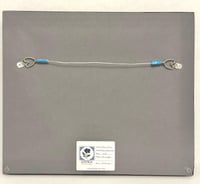 Image 2 of El Tavo: Octavio el Pez