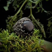 Damask Black Star Sapphire Ring