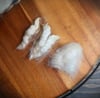 White Texel - Washed Fleece