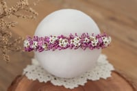 Newborn/Sitter Halo 85