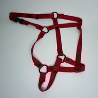 Image 1 of RISC harness