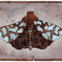 Image 2 of Natural ink Peppered moth 