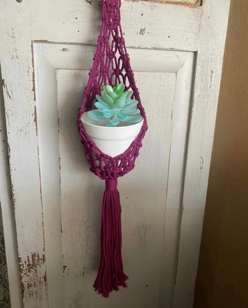 Image of Plant hanging pod