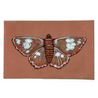 Image 1 of Natural ink Butterfly 04