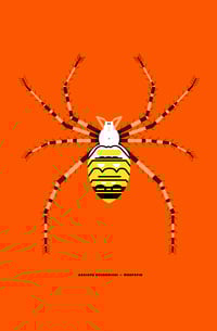 Argiope Bruennichi (wespspin)