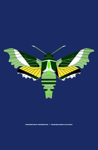 Proserpinus Proserpina (teunisbloempijlstaart)