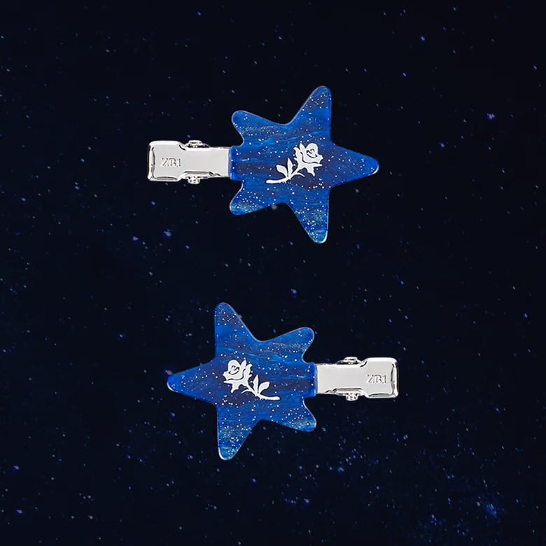 Image of [PRE-ORDER] ZEROBASEONE Here & Now Hair Pin Set