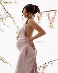 Image 15 of Valencia Dress