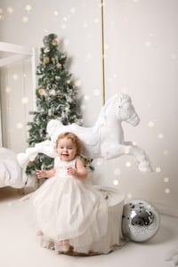 Starlit Christmas Mini's 2025