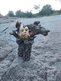 Image 1 of Searching