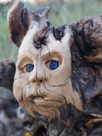 Image 4 of Searching