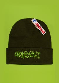 Linc Bizcuit Forest Green Beanie Green Graphic