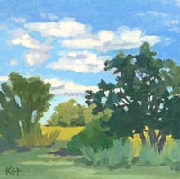 Summer Field