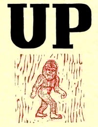 UP: A Roadtrip in Michigan’s Upper Peninsula by Scott Witmer