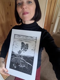 Image 2 of Black mountain 