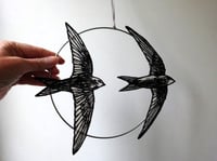 Image 4 of Hoop With Swifts