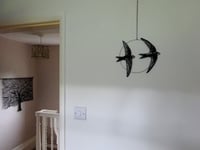 Image 5 of Hoop With Swifts