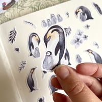 Image 1 of Penguin sticker bundle (30 stickers)
